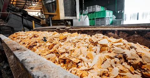 Alimentos & bebidas